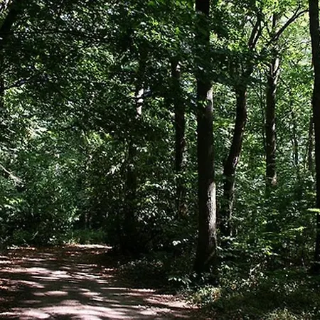 Allée Du Bois * Sautron