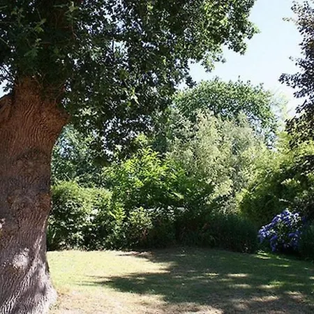 Oda ve Kahvaltı Allee Du Bois